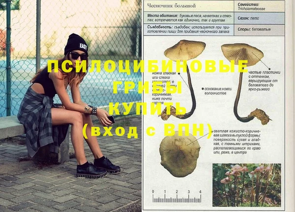 бутират Абинск