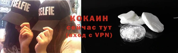 шишки Абаза