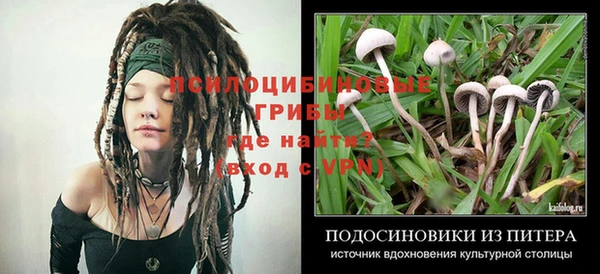 ГАЛЛЮЦИНОГЕННЫЕ ГРИБЫ Алзамай