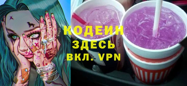 шишки Абаза