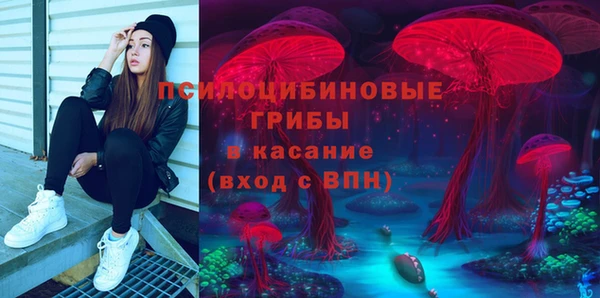Альфа ПВП Алексин