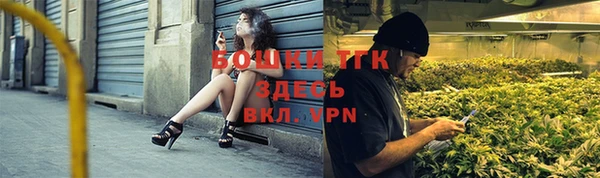 ГАЛЛЮЦИНОГЕННЫЕ ГРИБЫ Алзамай