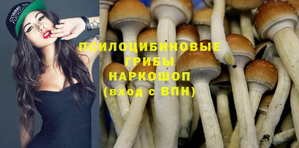 шишки Абаза